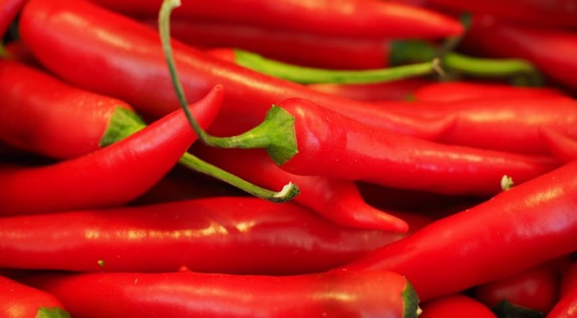 chili-red-sharp-spice-42259