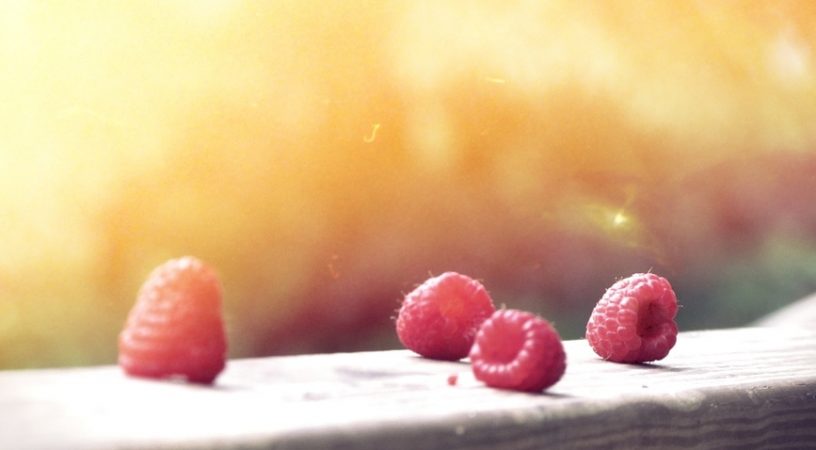 food-healthy-summer-sun-large